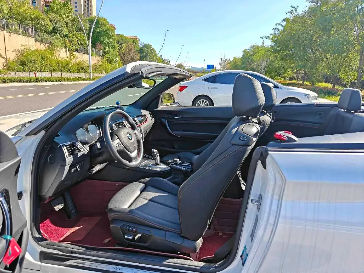 2019 BMW 2 Series 2.0T 184HP L4 8AT,autocango,china used car exporter,china ev exporter,chinese used car exporter,chinese used ev exporter