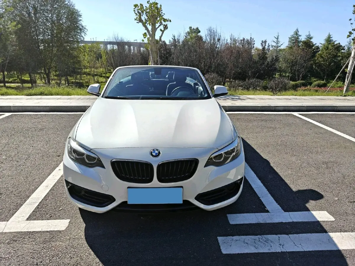 2019 BMW 2 Series 2.0T 184HP L4 8AT,autocango,china used car exporter,china ev exporter,chinese used car exporter,chinese used ev exporter