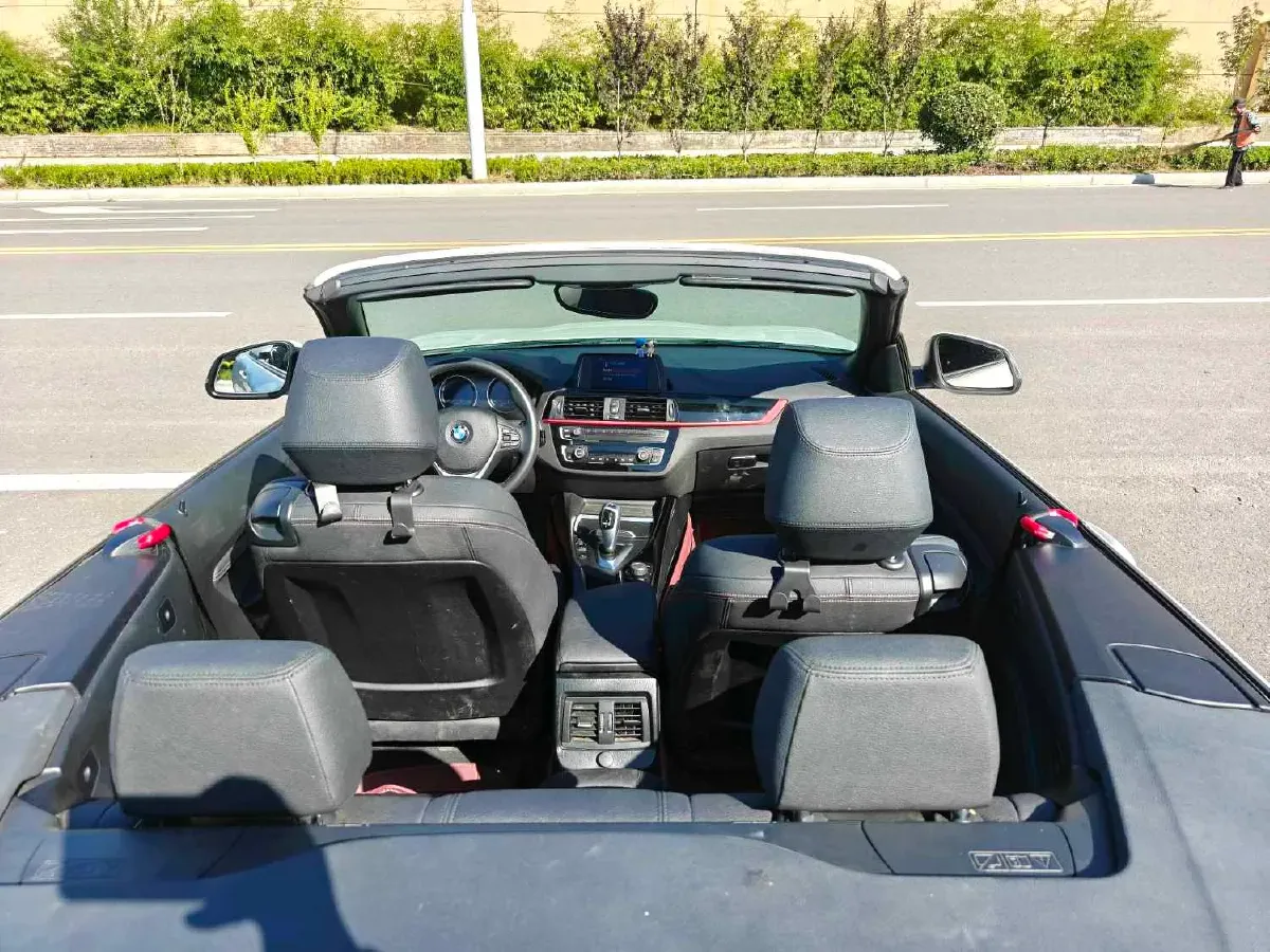 2019 BMW 2 Series 2.0T 184HP L4 8AT,autocango,china used car exporter,china ev exporter,chinese used car exporter,chinese used ev exporter