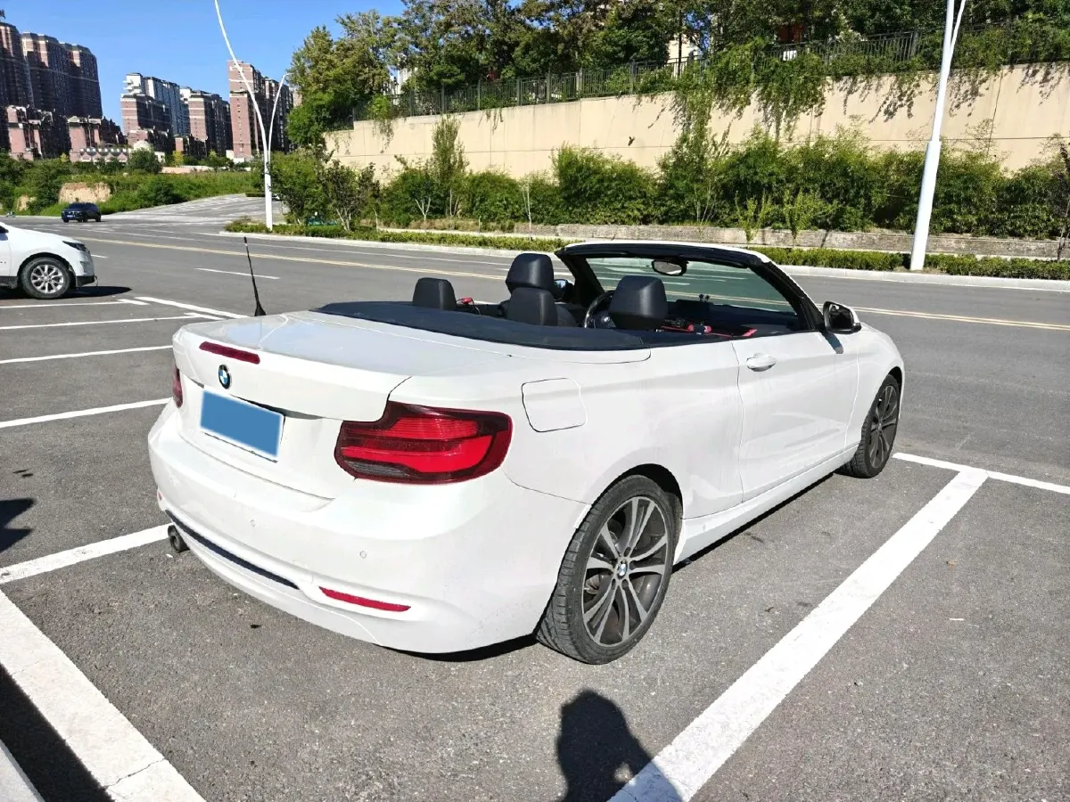 2019 BMW 2 Series 2.0T 184HP L4 8AT,autocango,china used car exporter,china ev exporter,chinese used car exporter,chinese used ev exporter