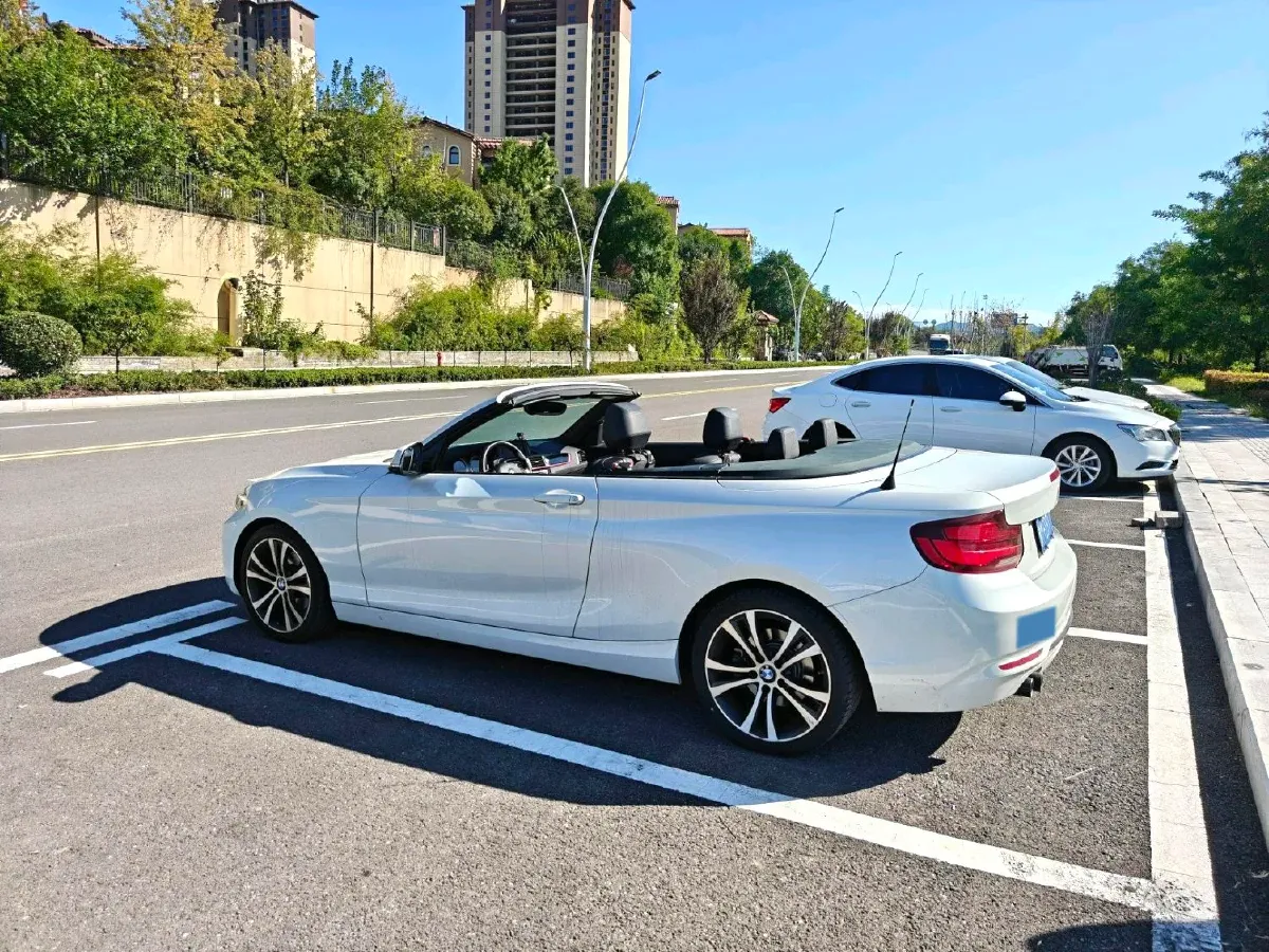2019 BMW 2 Series 2.0T 184HP L4 8AT,autocango,china used car exporter,china ev exporter,chinese used car exporter,chinese used ev exporter