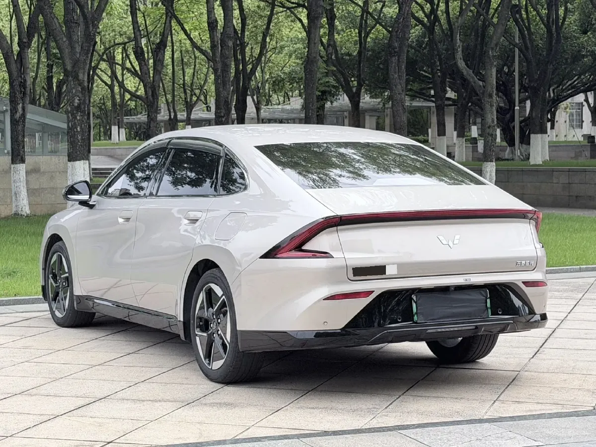 2024 WuLing XingGuang BEV 54.5KWH,autocango,china used car exporter,china ev exporter,chinese used car exporter,chinese used ev exporter