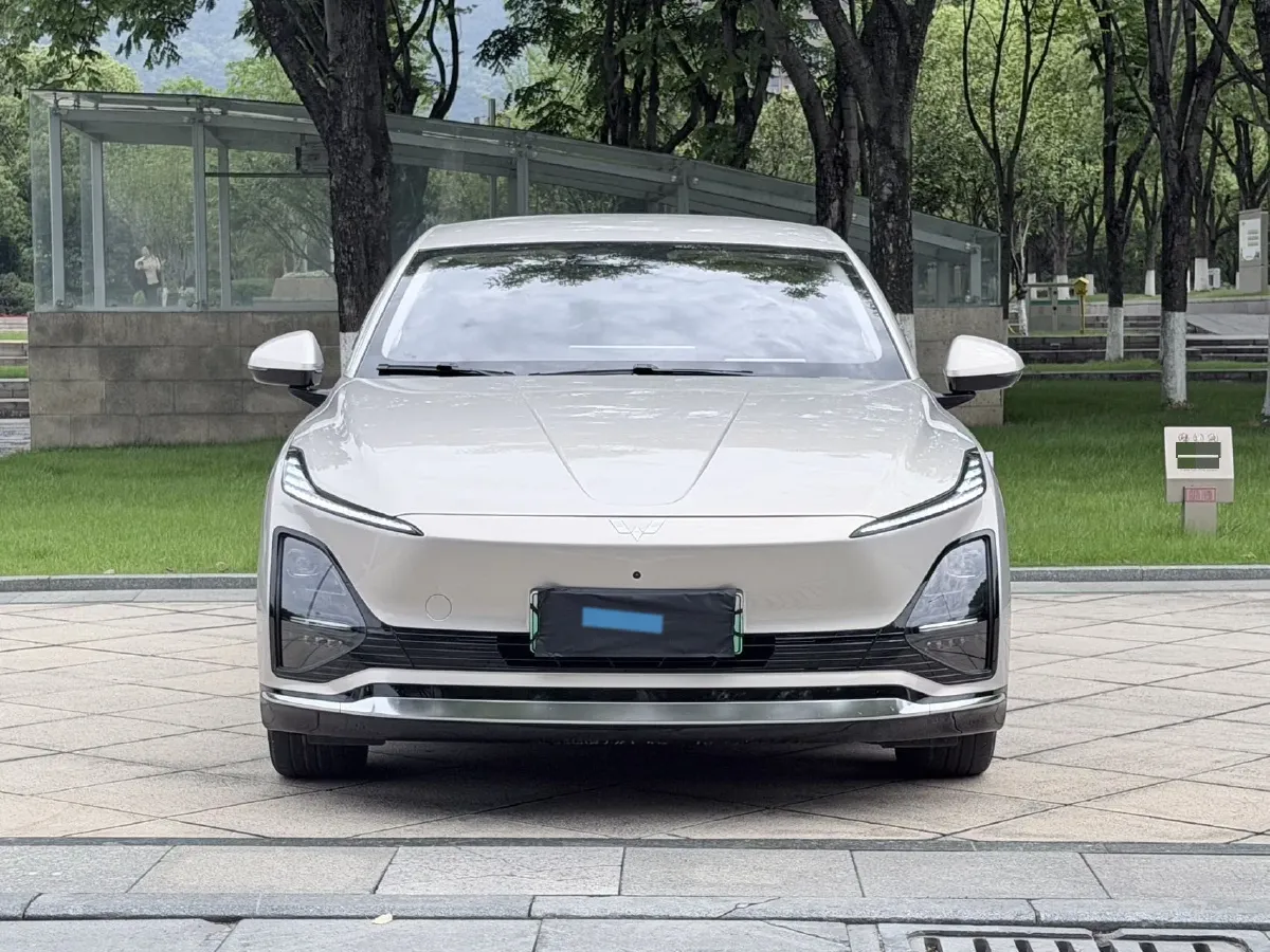 2024 WuLing XingGuang BEV 54.5KWH,autocango,china used car exporter,china ev exporter,chinese used car exporter,chinese used ev exporter