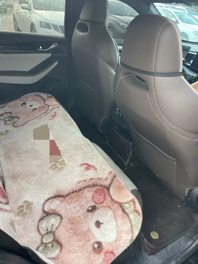 2024 BYD Qin Plus 1.5L 110HP L4 E-CVT PHEV 8.32KWH,autocango,china used car exporter,china ev exporter,chinese used car exporter,chinese used ev exporter