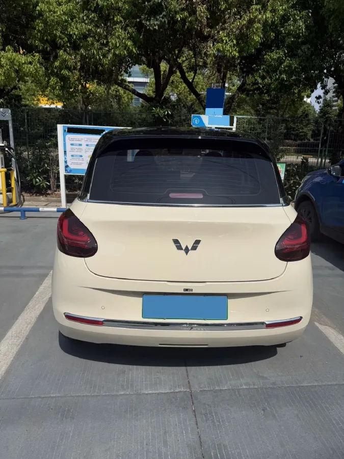 2025 WuLing BinGuo BEV,autocango,china used car exporter,china ev exporter,chinese used car exporter,chinese used ev exporter