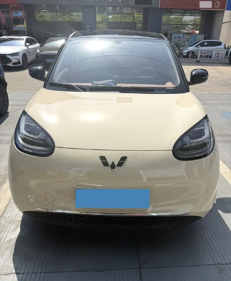 2025 WuLing BinGuo BEV,autocango,china used car exporter,china ev exporter,chinese used car exporter,chinese used ev exporter