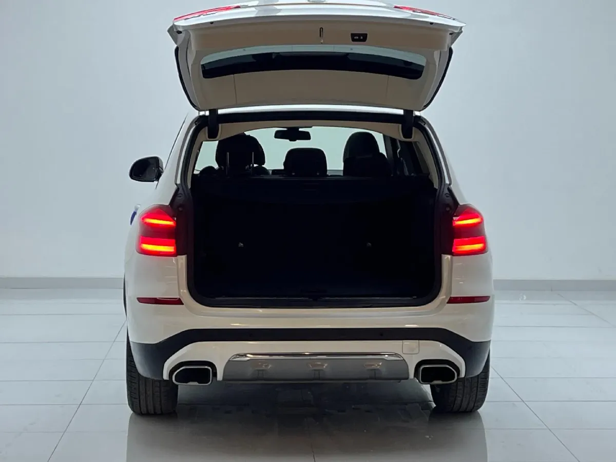 2021 BMW X3 2.0T 224HP L4 8AT,autocango,china used car exporter,china ev exporter,chinese used car exporter,chinese used ev exporter