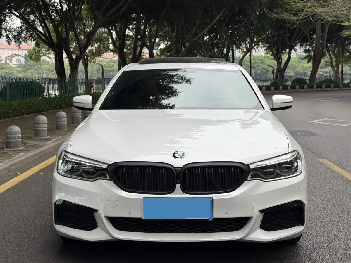 2020 BMW 5 Series 2.0T 252HP L4 8AT,autocango,china used car exporter,china ev exporter,chinese used car exporter,chinese used ev exporter