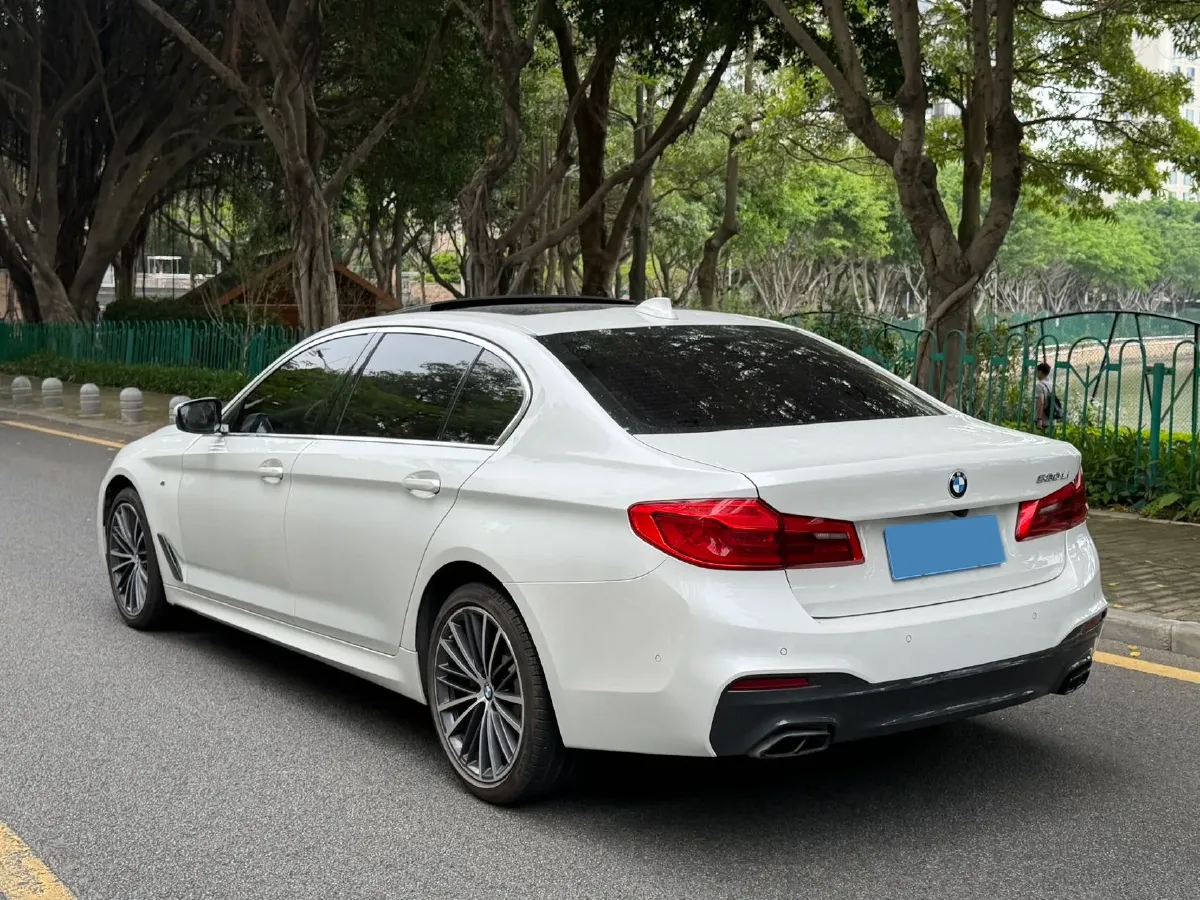2020 BMW 5 Series 2.0T 252HP L4 8AT,autocango,china used car exporter,china ev exporter,chinese used car exporter,chinese used ev exporter