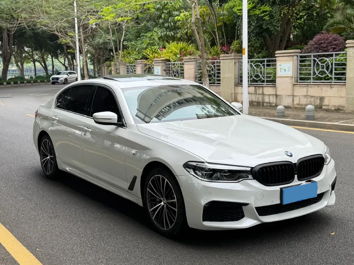 2020 BMW 5 Series 2.0T 252HP L4 8AT,autocango,china used car exporter,china ev exporter,chinese used car exporter,chinese used ev exporter