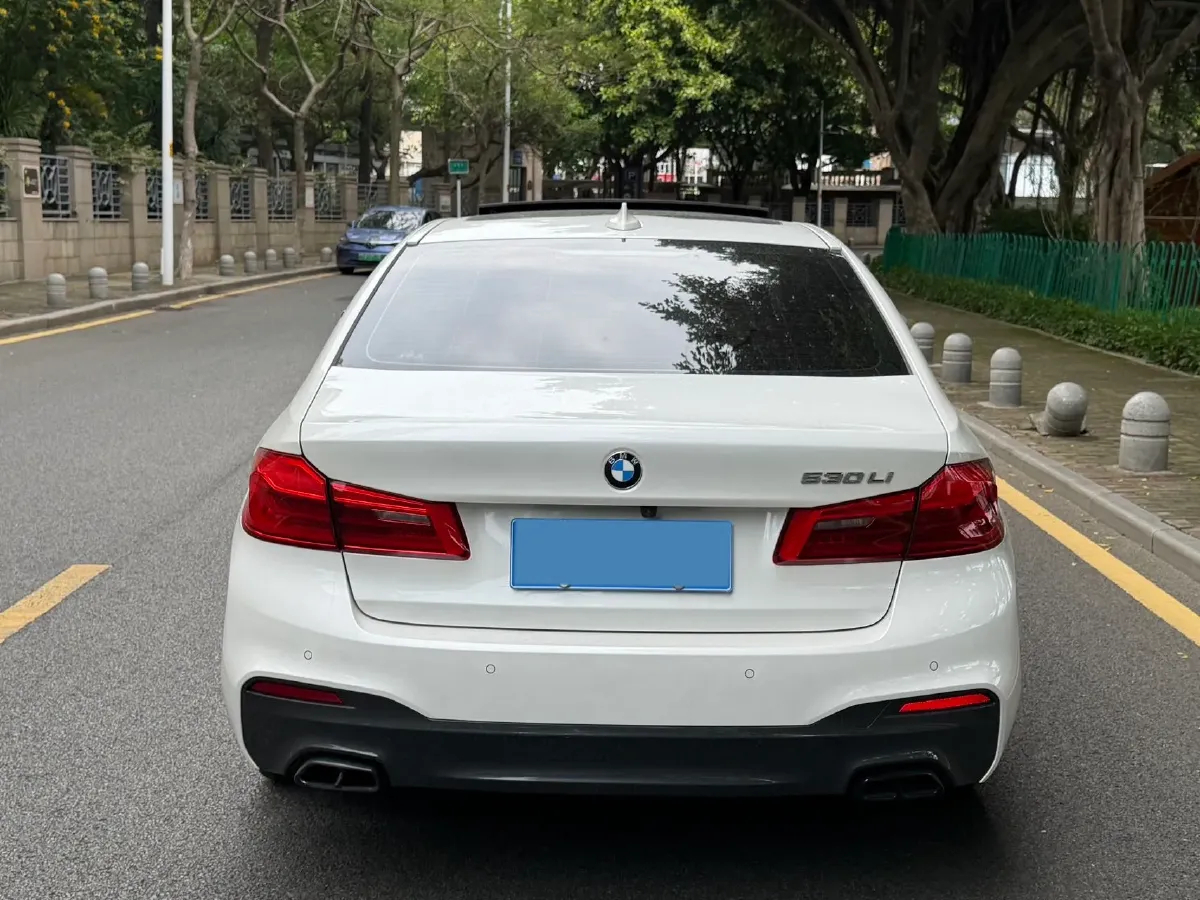 2020 BMW 5 Series 2.0T 252HP L4 8AT,autocango,china used car exporter,china ev exporter,chinese used car exporter,chinese used ev exporter