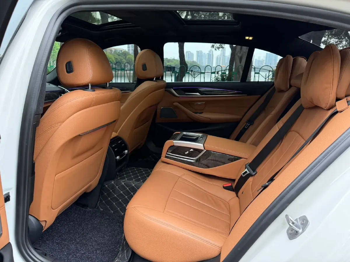 2020 BMW 5 Series 2.0T 252HP L4 8AT,autocango,china used car exporter,china ev exporter,chinese used car exporter,chinese used ev exporter