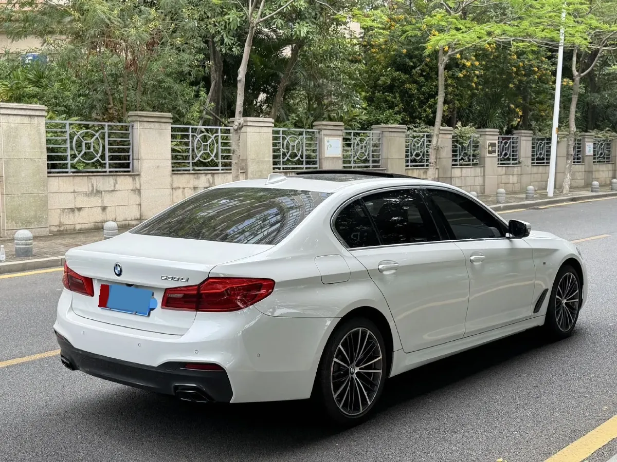 2020 BMW 5 Series 2.0T 252HP L4 8AT,autocango,china used car exporter,china ev exporter,chinese used car exporter,chinese used ev exporter