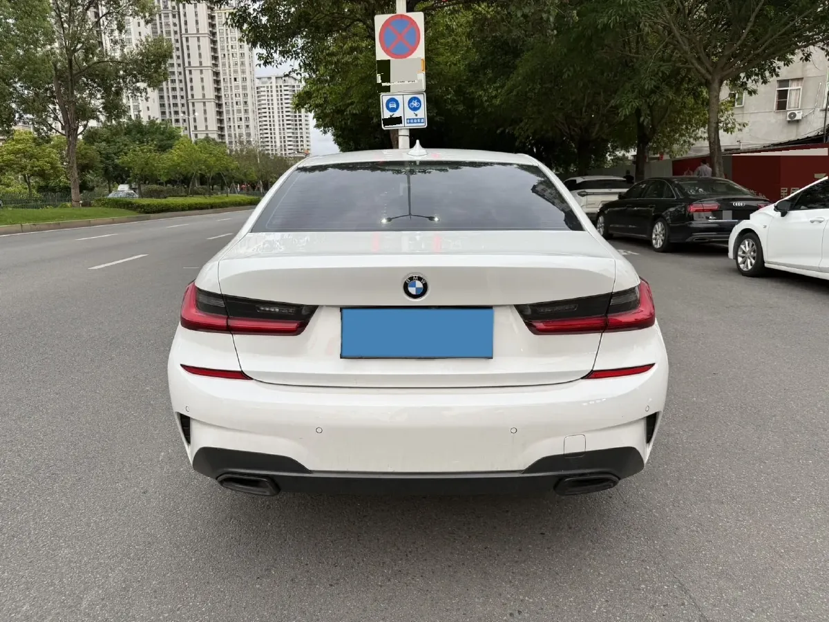 2020 BMW 3 Series 2.0T 156HP L4 8AT,autocango,china used car exporter,china ev exporter,chinese used car exporter,chinese used ev exporter