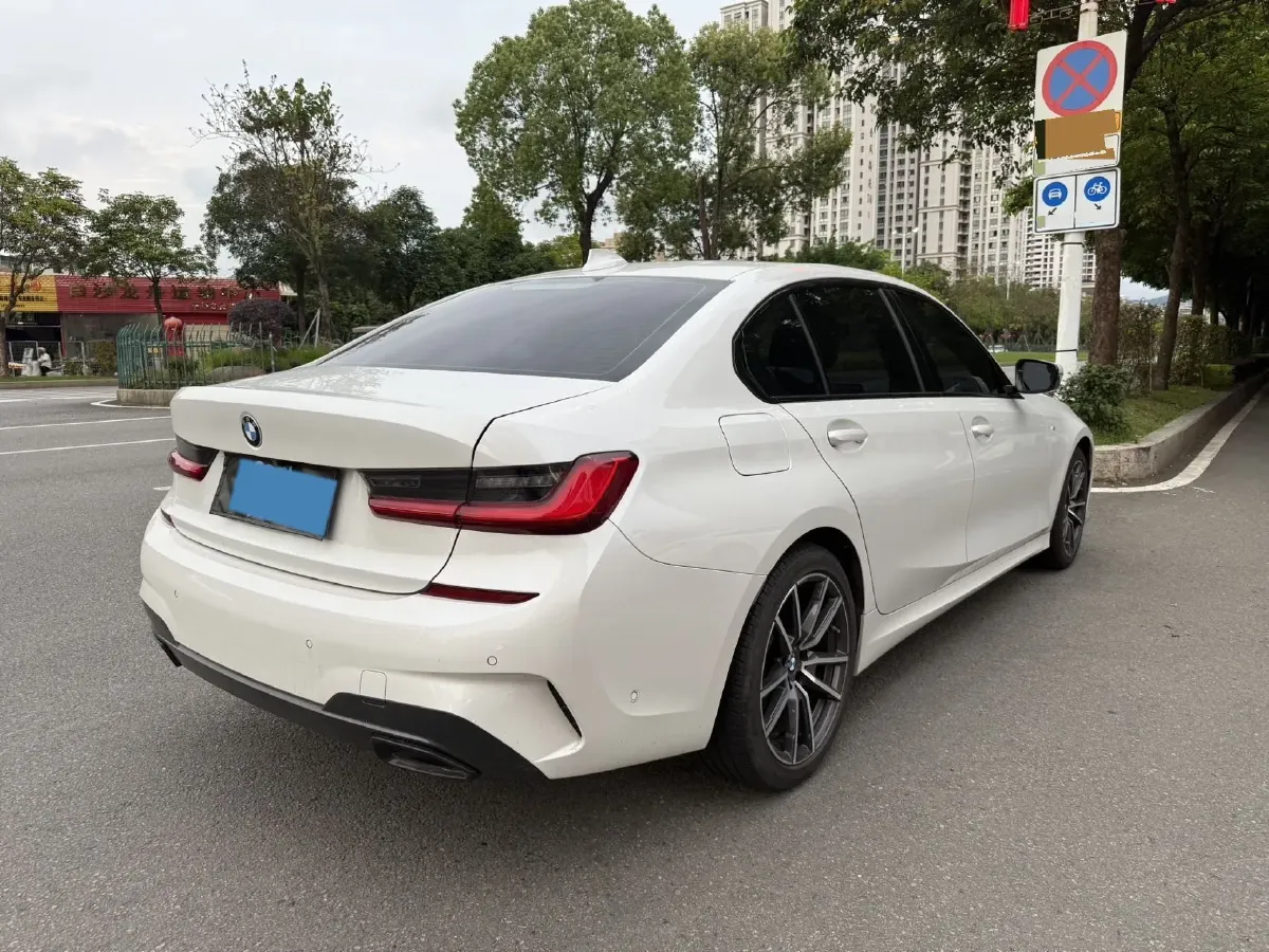 2020 BMW 3 Series 2.0T 156HP L4 8AT,autocango,china used car exporter,china ev exporter,chinese used car exporter,chinese used ev exporter