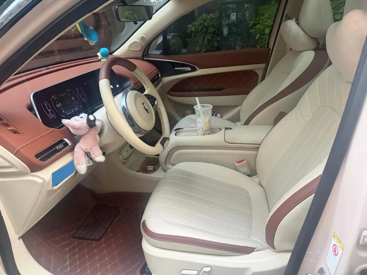 2023 Ora FunkyCat BEV 47.8KWH,autocango,china used car exporter,china ev exporter,chinese used car exporter,chinese used ev exporter
