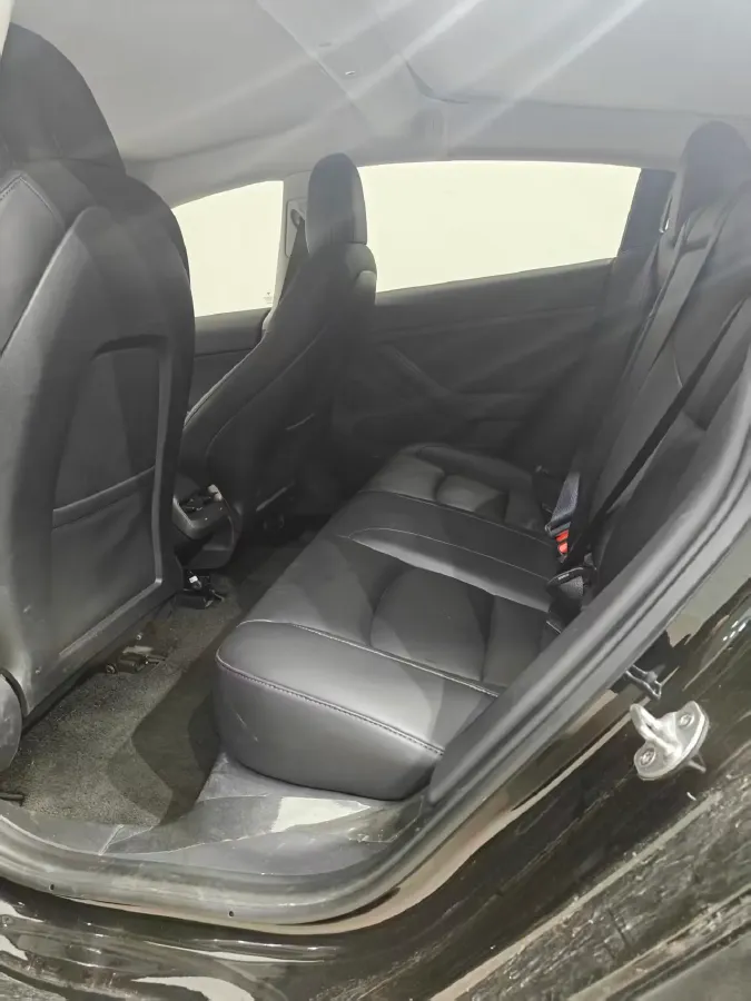2021 Tesla Model 3 BEV 55KWH,autocango,china used car exporter,china ev exporter,chinese used car exporter,chinese used ev exporter
