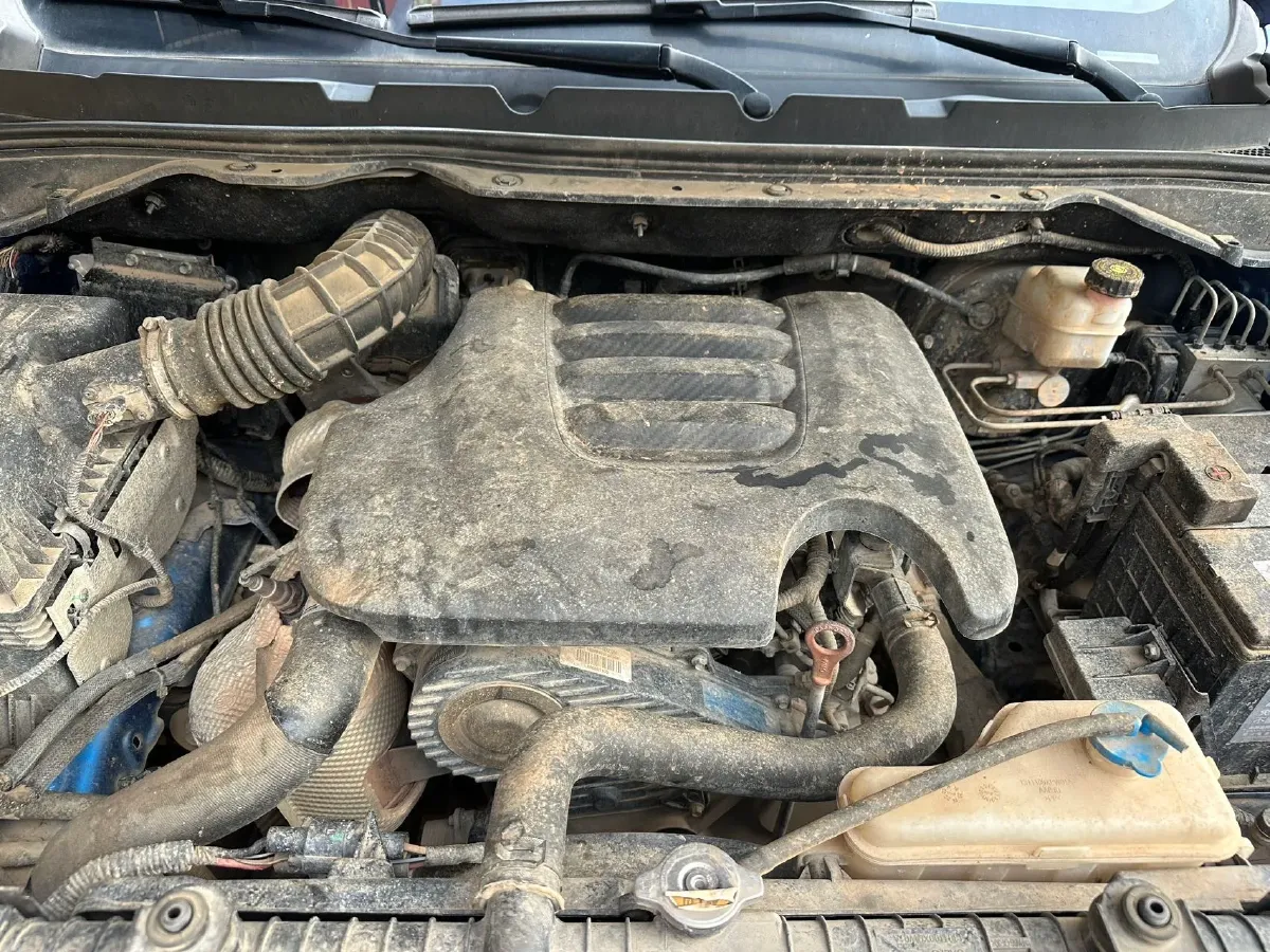 2019 Great Wall Poer 2.0T 163HP L4 6MT,autocango,china used car exporter,china ev exporter,chinese used car exporter,chinese used ev exporter