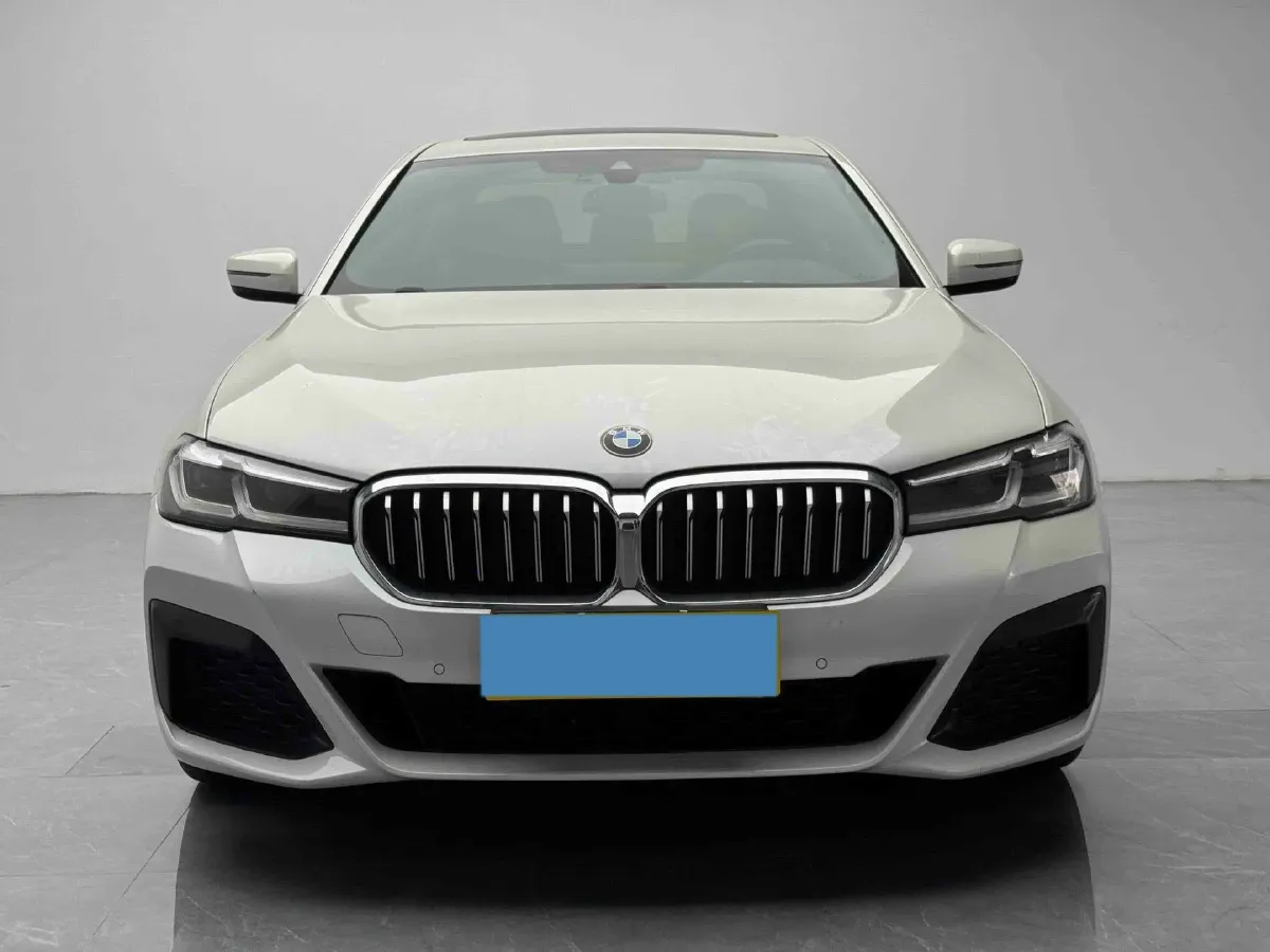 2021 BMW 5 Series 2.0T 184HP L4 8AT,autocango,china used car exporter,china ev exporter,chinese used car exporter,chinese used ev exporter