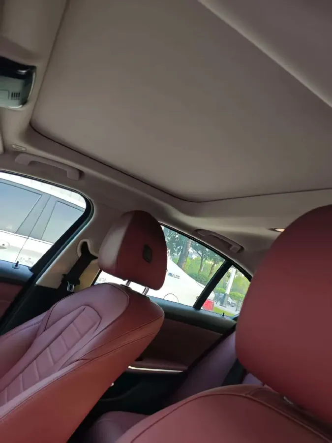 2021 BMW 3 Series 2.0T 184HP L4 8AT,autocango,china used car exporter,china ev exporter,chinese used car exporter,chinese used ev exporter