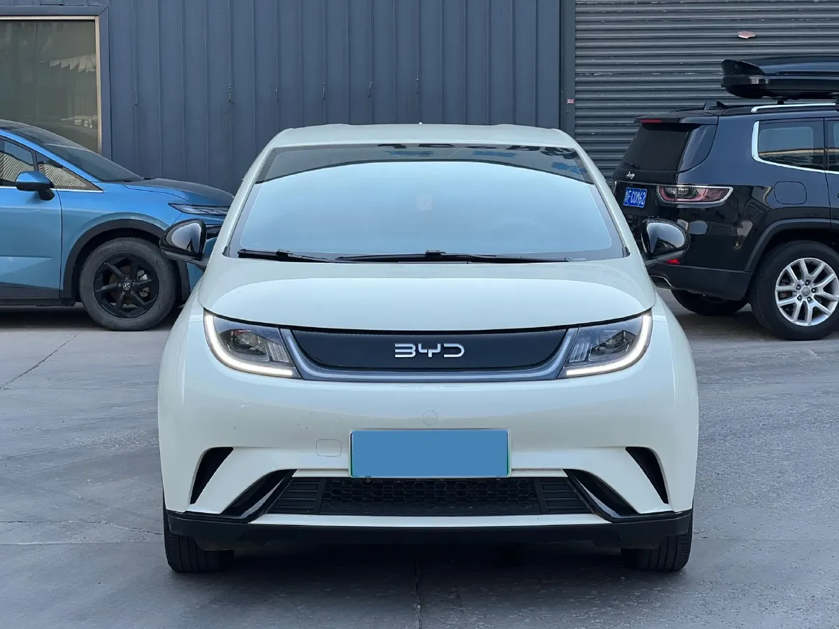 2025 BYD Dolphin BEV 44.928KWH,autocango,china used car exporter,china ev exporter,chinese used car exporter,chinese used ev exporter