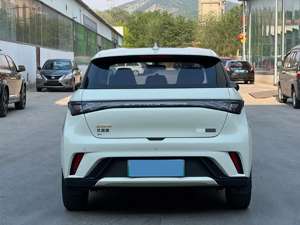 2025 BYD Dolphin BEV 44.928KWH,autocango,china used car exporter,china ev exporter,chinese used car exporter,chinese used ev exporter