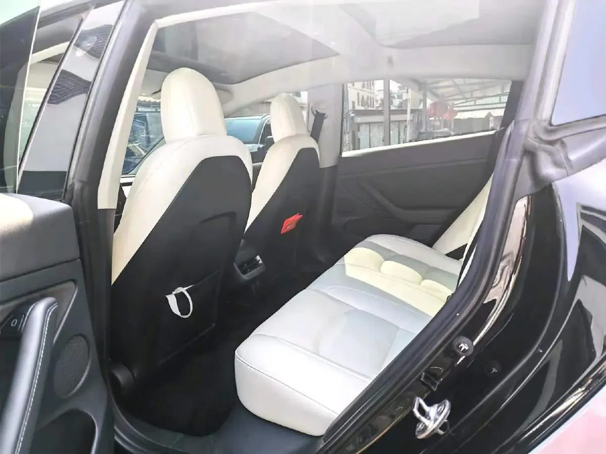 2021 Tesla Model 3 BEV 55KWH,autocango,china used car exporter,china ev exporter,chinese used car exporter,chinese used ev exporter