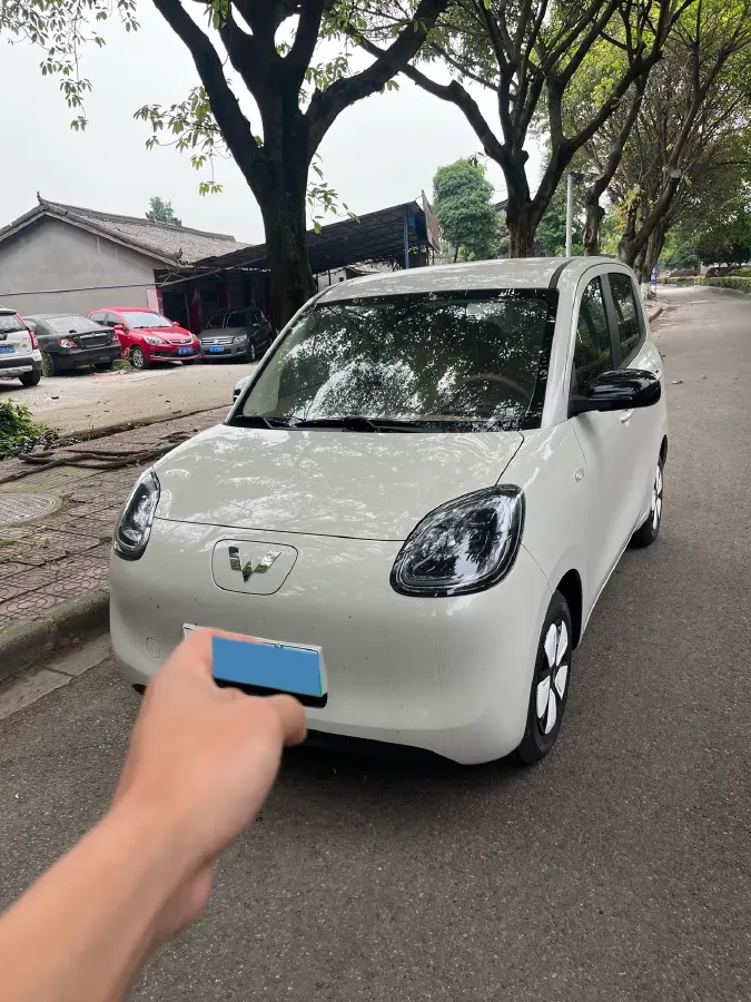 2025 WuLing HongGuang MINI EV BEV 16.2KWH,autocango,china used car exporter,china ev exporter,chinese used car exporter,chinese used ev exporter