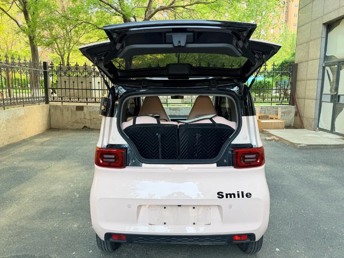 2022 WuLing HongGuang MINI EV BEV 9KWH,autocango,china used car exporter,china ev exporter,chinese used car exporter,chinese used ev exporter