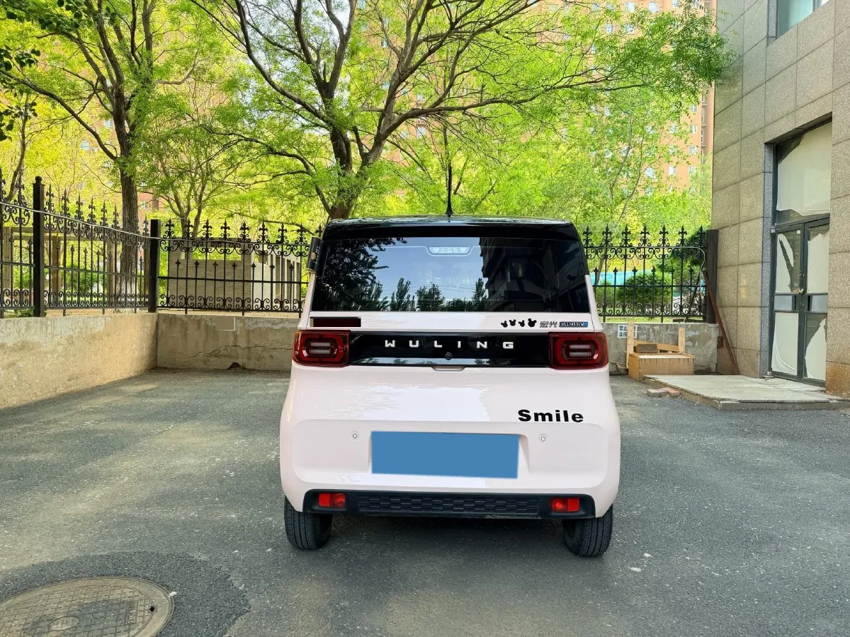 2022 WuLing HongGuang MINI EV BEV 9KWH,autocango,china used car exporter,china ev exporter,chinese used car exporter,chinese used ev exporter