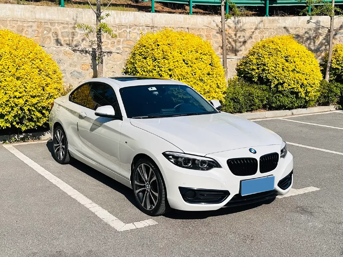 2019 BMW 2 Series 2.0T 184HP L4 8AT,autocango,china used car exporter,china ev exporter,chinese used car exporter,chinese used ev exporter