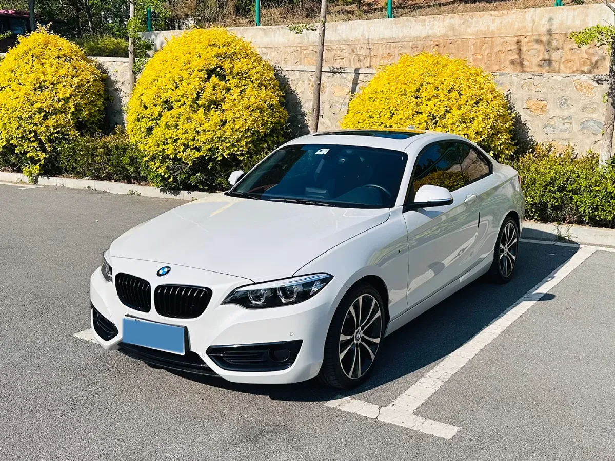 2019 BMW 2 Series 2.0T 184HP L4 8AT,autocango,china used car exporter,china ev exporter,chinese used car exporter,chinese used ev exporter