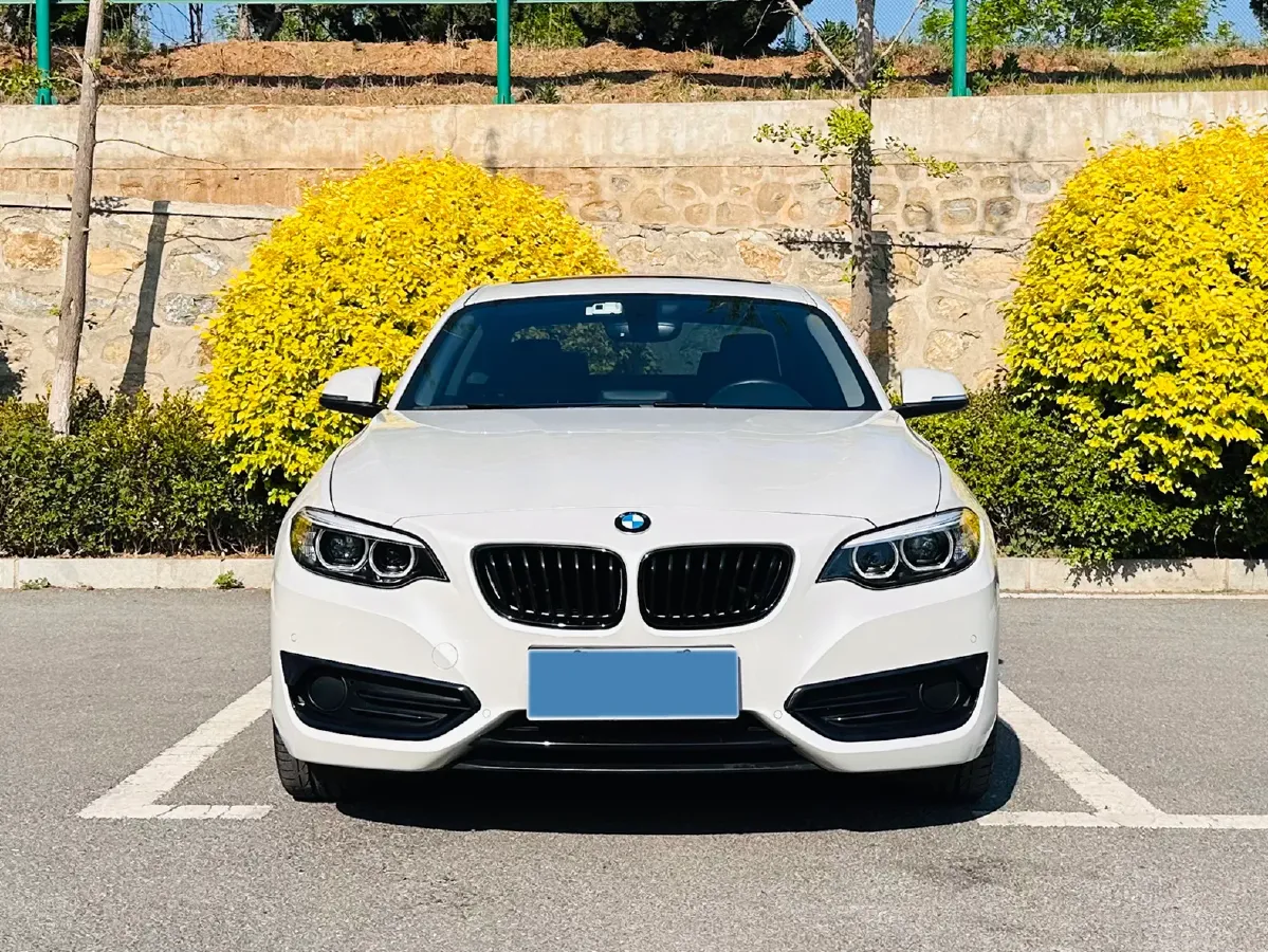 2019 BMW 2 Series 2.0T 184HP L4 8AT,autocango,china used car exporter,china ev exporter,chinese used car exporter,chinese used ev exporter