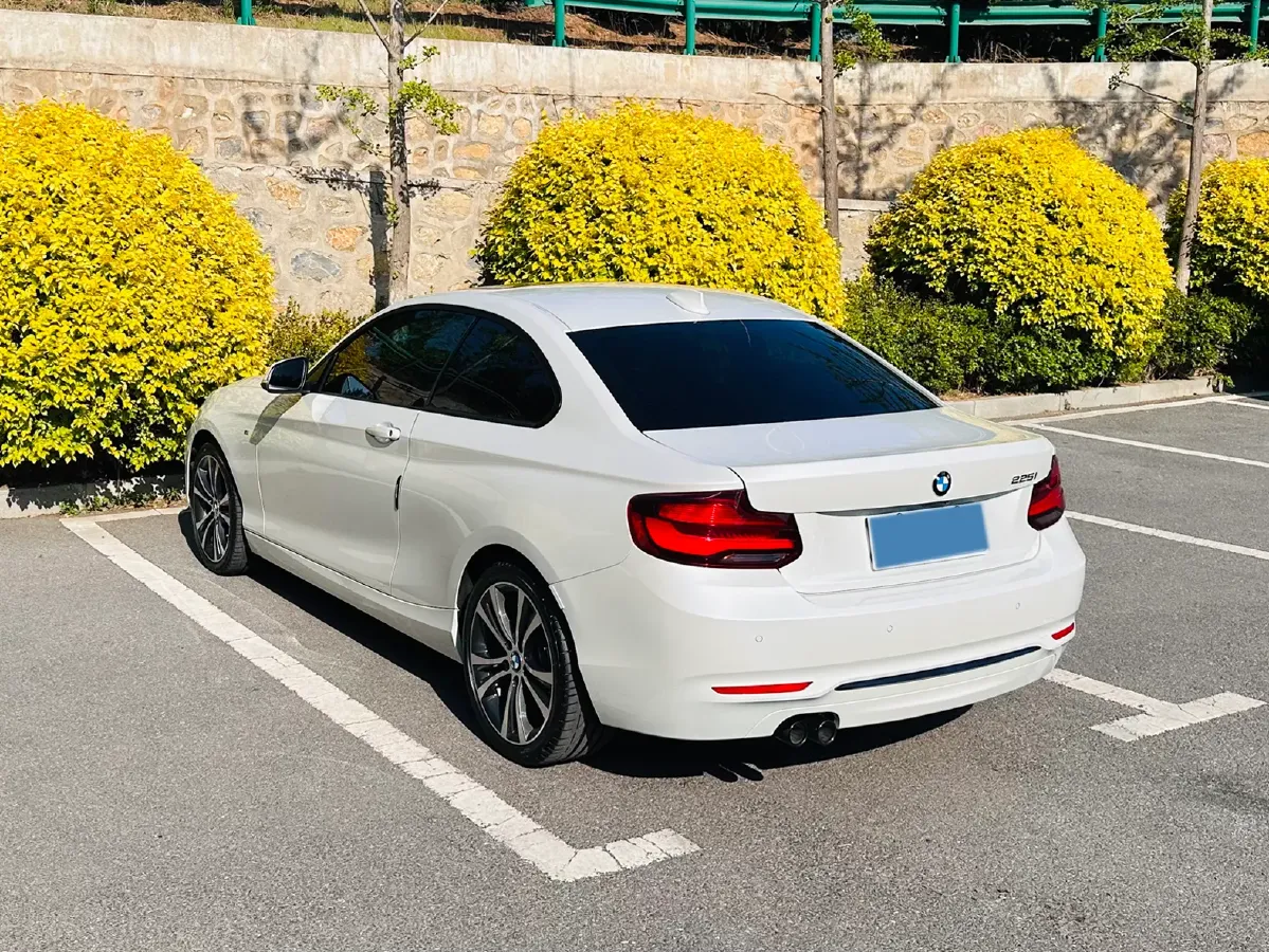 2019 BMW 2 Series 2.0T 184HP L4 8AT,autocango,china used car exporter,china ev exporter,chinese used car exporter,chinese used ev exporter