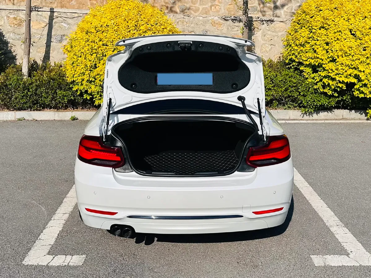 2019 BMW 2 Series 2.0T 184HP L4 8AT,autocango,china used car exporter,china ev exporter,chinese used car exporter,chinese used ev exporter
