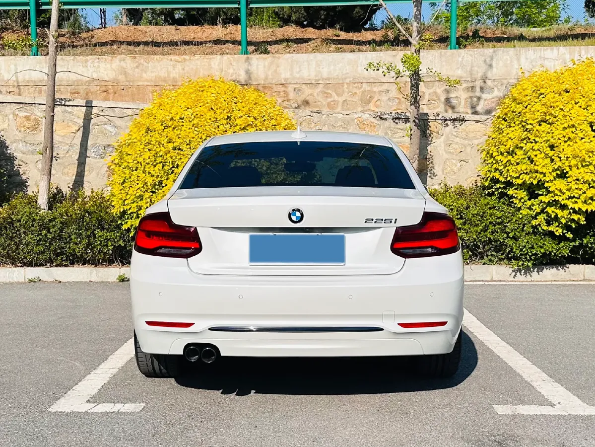 2019 BMW 2 Series 2.0T 184HP L4 8AT,autocango,china used car exporter,china ev exporter,chinese used car exporter,chinese used ev exporter