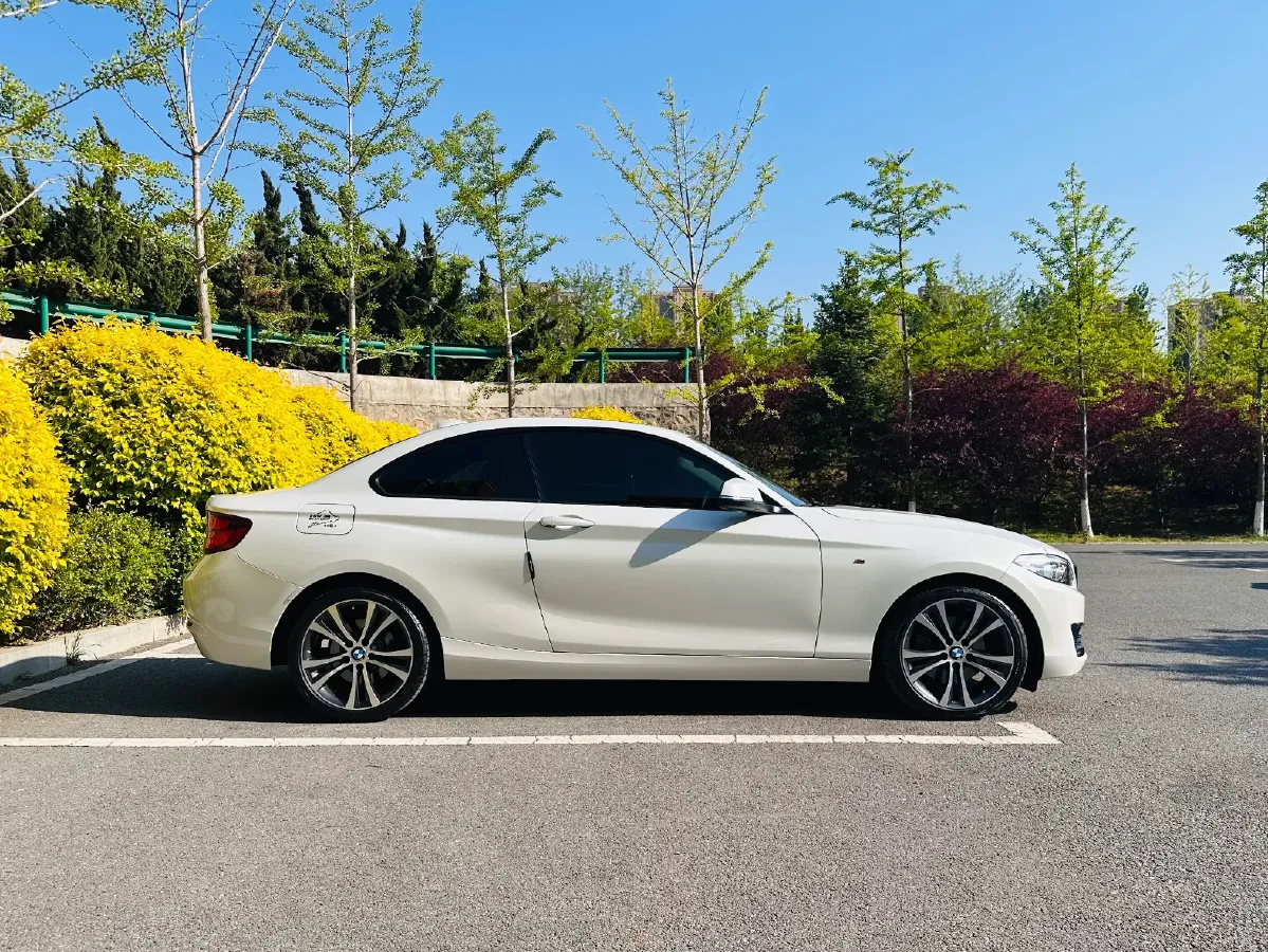 2019 BMW 2 Series 2.0T 184HP L4 8AT,autocango,china used car exporter,china ev exporter,chinese used car exporter,chinese used ev exporter