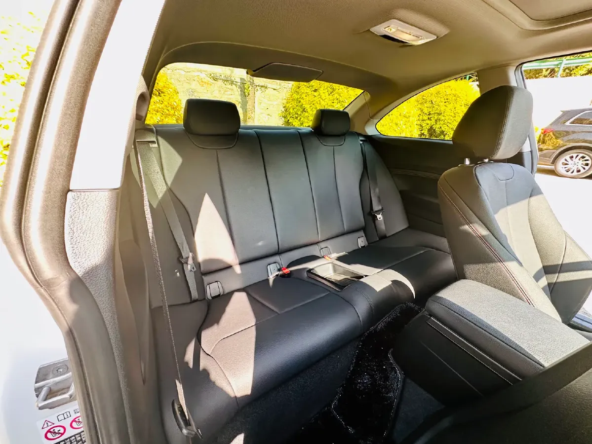 2019 BMW 2 Series 2.0T 184HP L4 8AT,autocango,china used car exporter,china ev exporter,chinese used car exporter,chinese used ev exporter
