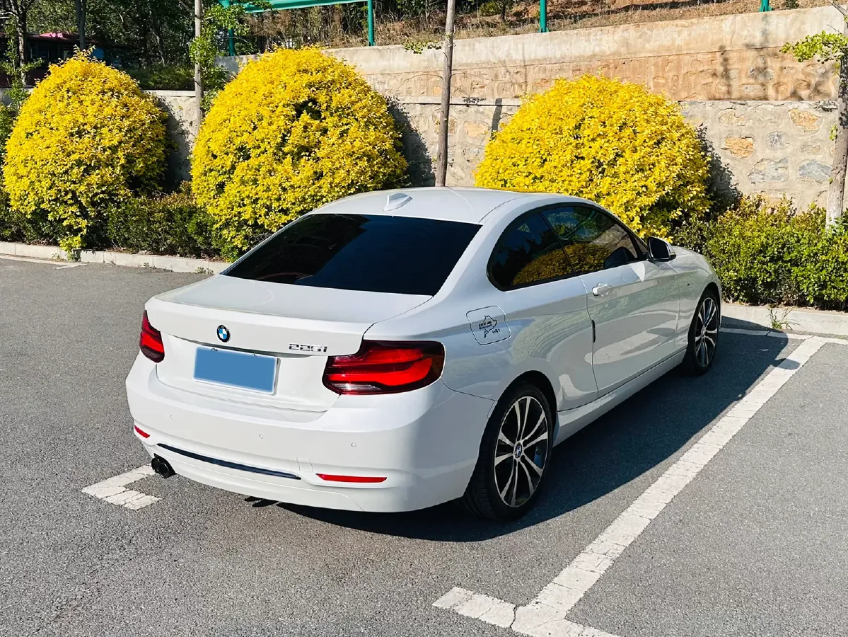 2019 BMW 2 Series 2.0T 184HP L4 8AT,autocango,china used car exporter,china ev exporter,chinese used car exporter,chinese used ev exporter