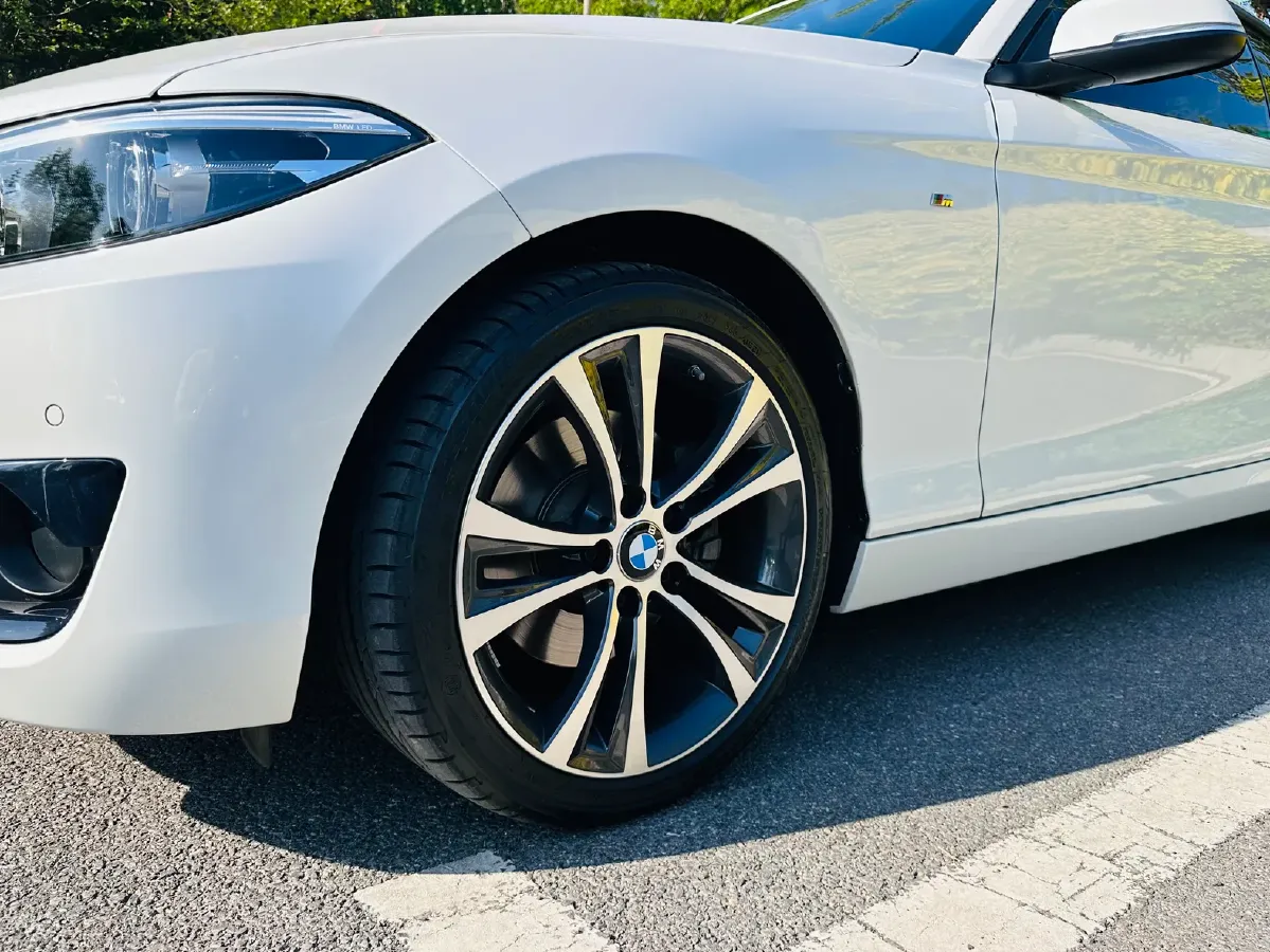 2019 BMW 2 Series 2.0T 184HP L4 8AT,autocango,china used car exporter,china ev exporter,chinese used car exporter,chinese used ev exporter