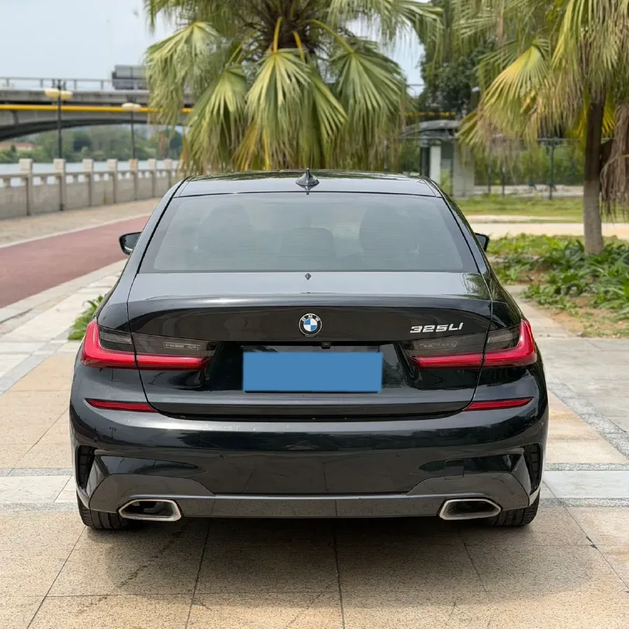 2020 BMW 3 Series 2.0T 156HP L4 8AT,autocango,china used car exporter,china ev exporter,chinese used car exporter,chinese used ev exporter