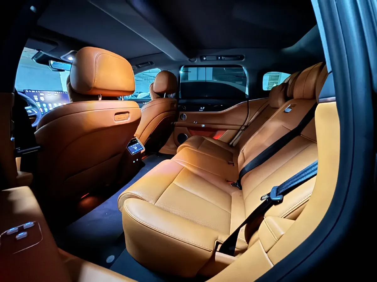 2025 HIMA Stelato S9T REEV 160HP REEV,autocango,china used car exporter,china ev exporter,chinese used car exporter,chinese used ev exporter