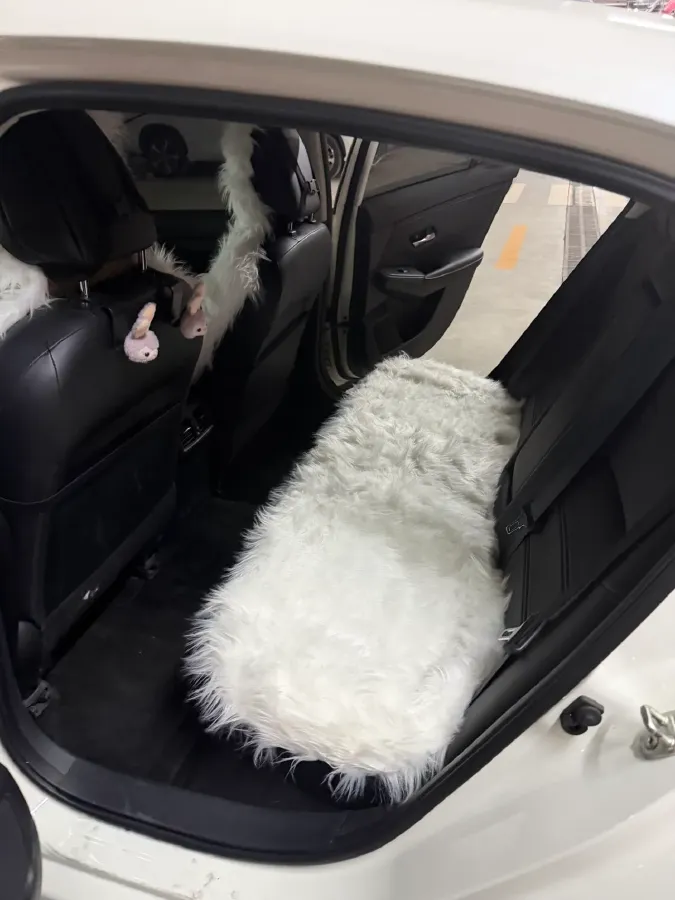 2022 Nissan Sylphy 1.6L 135HP L4 CVT,autocango,china used car exporter,china ev exporter,chinese used car exporter,chinese used ev exporter