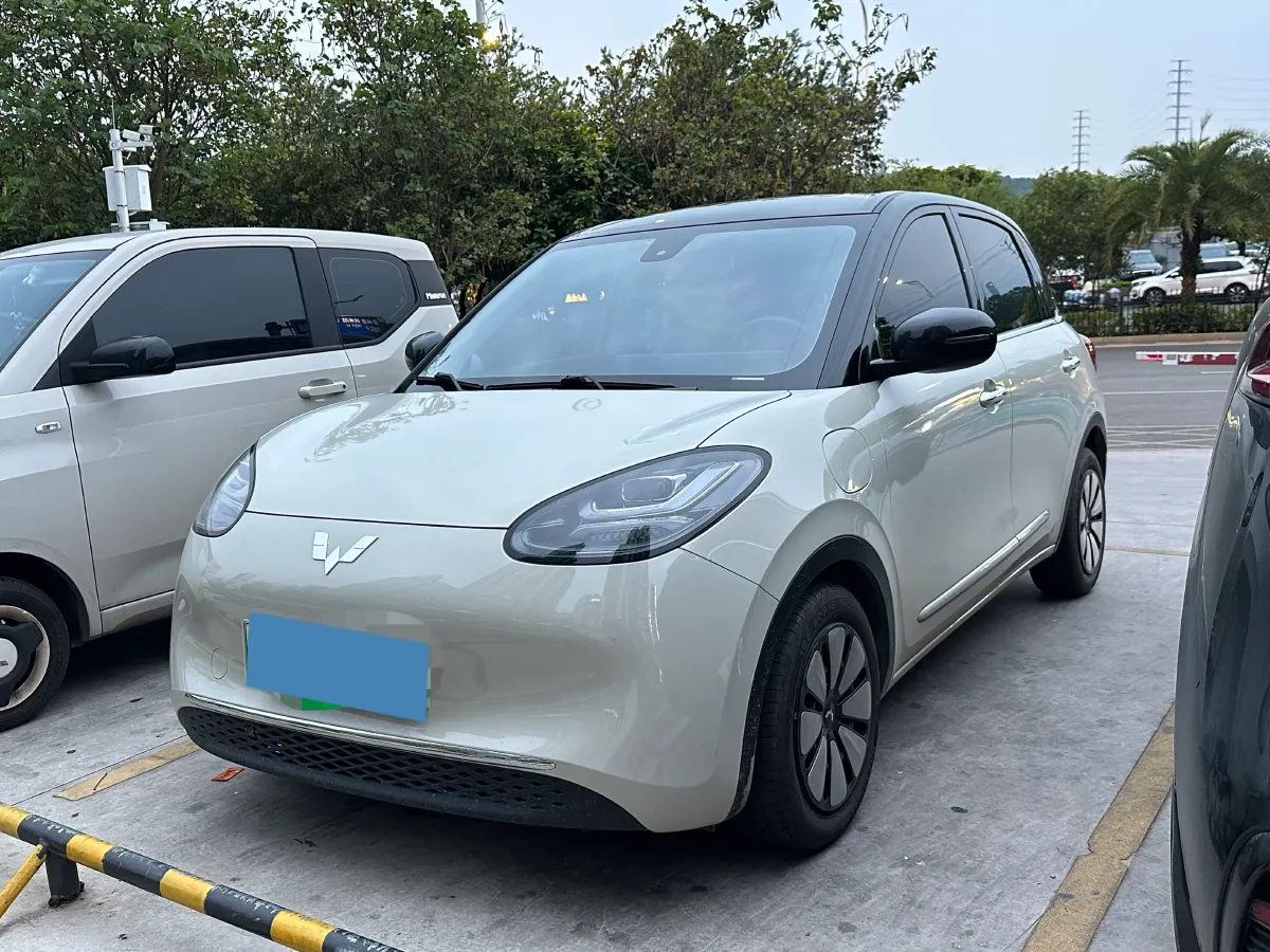 2023 WuLing BinGuo BEV 31.9KWH,autocango,china used car exporter,china ev exporter,chinese used car exporter,chinese used ev exporter