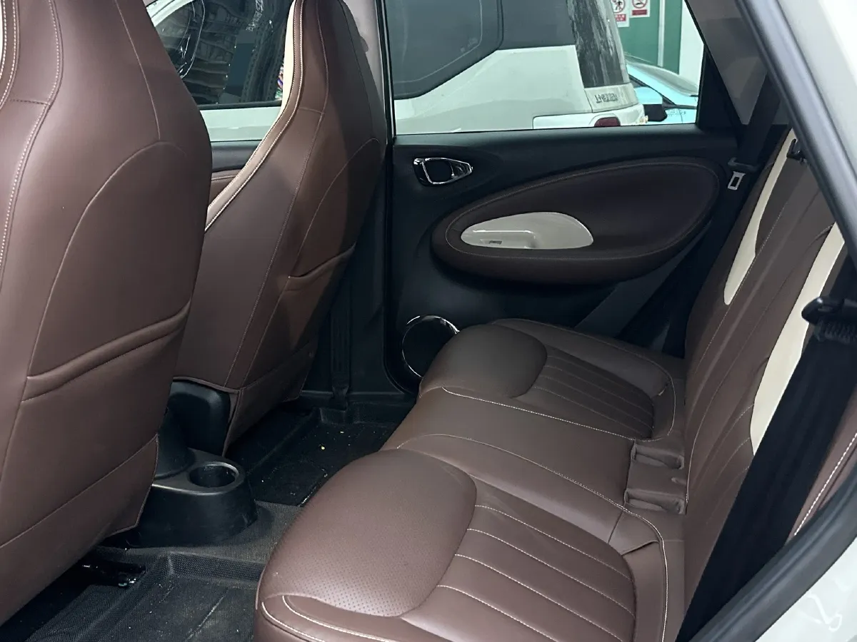 2023 WuLing BinGuo BEV 31.9KWH,autocango,china used car exporter,china ev exporter,chinese used car exporter,chinese used ev exporter