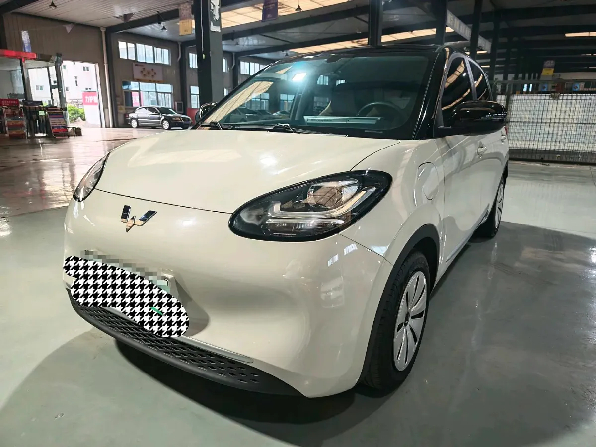 2023 WuLing BinGuo BEV 31.9KWH,autocango,china used car exporter,china ev exporter,chinese used car exporter,chinese used ev exporter