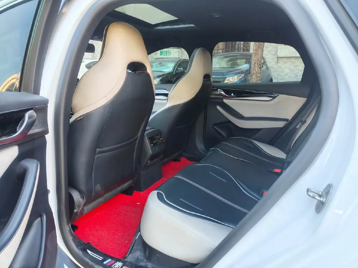 2021 DongFeng FuKang e Elysee BEV 30.7KWH,autocango,china used car exporter,china ev exporter,chinese used car exporter,chinese used ev exporter