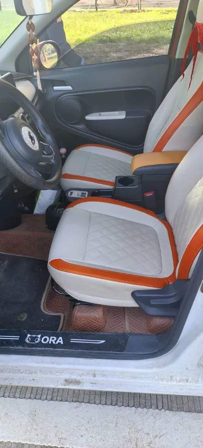 2019 Ora BlackCat BEV 33KWH,autocango,china used car exporter,china ev exporter,chinese used car exporter,chinese used ev exporter