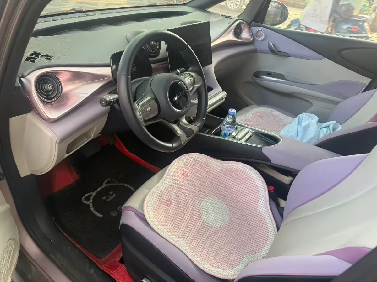 2021 BYD e2 BEV 43.2KWH,autocango,china used car exporter,china ev exporter,chinese used car exporter,chinese used ev exporter