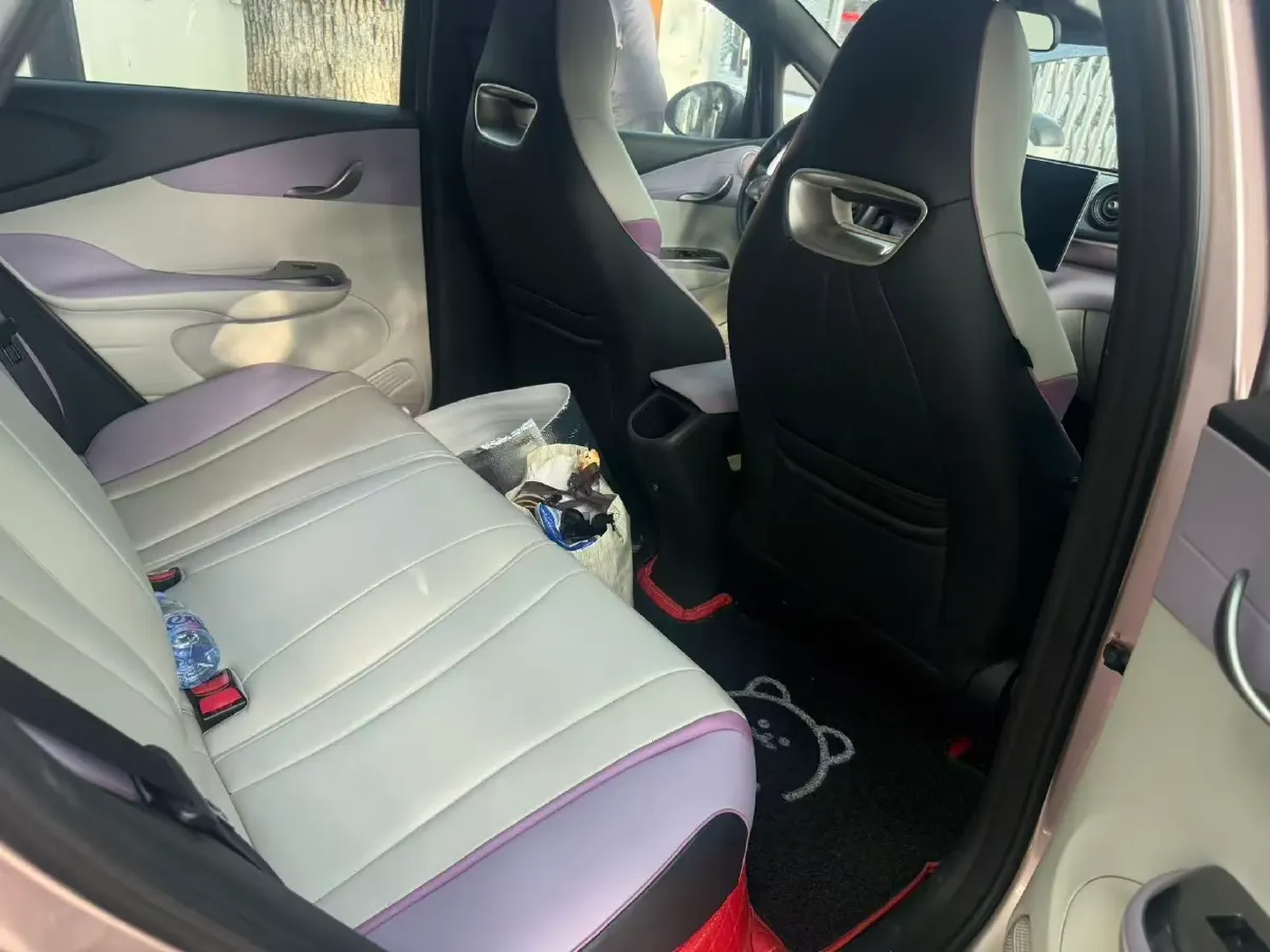 2021 BYD e2 BEV 43.2KWH,autocango,china used car exporter,china ev exporter,chinese used car exporter,chinese used ev exporter